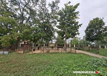 Источник: Алёна Воропаева / Voronezh1.ru