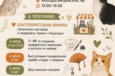 В Самаре пройдет двухдневный «Котофест»