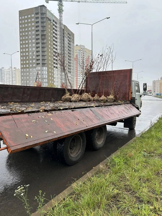 Источник: lipetskcity.ru