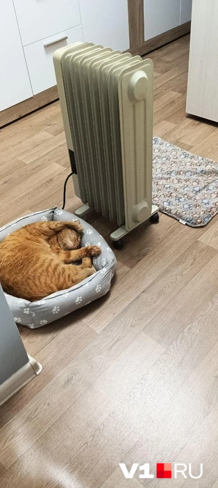 А вам какой кадр понравился больше остальных? | Источник: читатели V1.RU