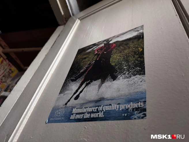 Источник: Алина Мельникова / MSK1.RU