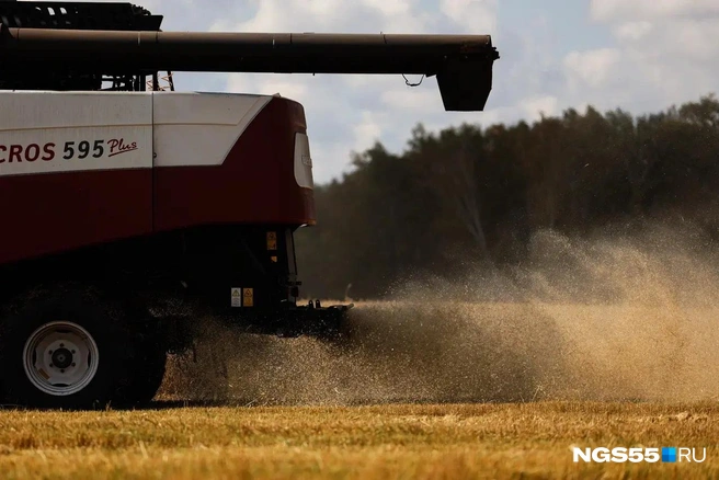 Солому техника разбрасывает по полю  | Источник: Евгений Софийчук / NGS55.RU 