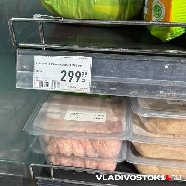 Источник: Елена Буйвол / VLADIVOSTOK1.RU