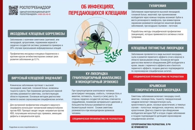 Эпидситуация по клещевым инфекциям в Ивановской области
