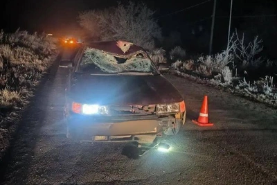 Пешеход погиб при переходе дороги вне зебры на Ставрополье