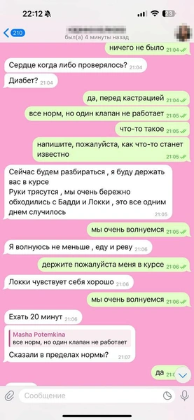 Эти переписки кинолог вела с женой Родиона, Марией | Источник: Родион Проводин