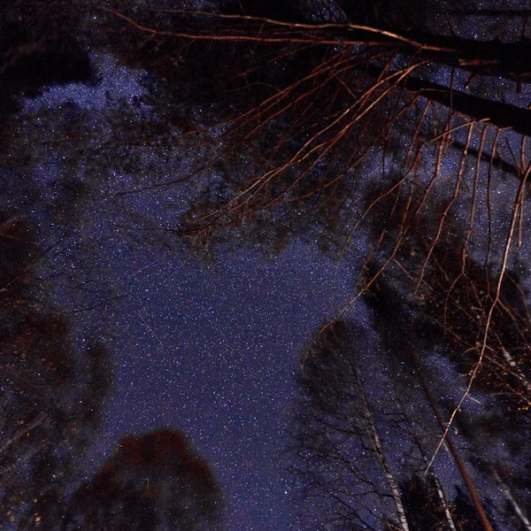 Ночью туристы любовались звездным небом | Источник: Сергей Коршилов / Вконтакте