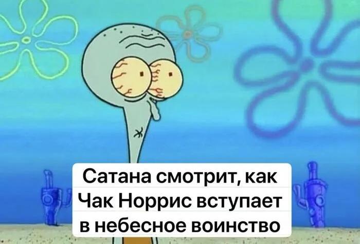 Лучшие мемы про Чака Норриса | Источник: X (Twitter)