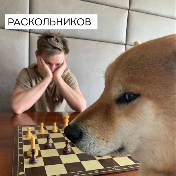 Источник: соцсети