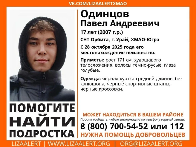 Источник: поисковый отряд «ЛизаАлерт» ХМАО-Югра