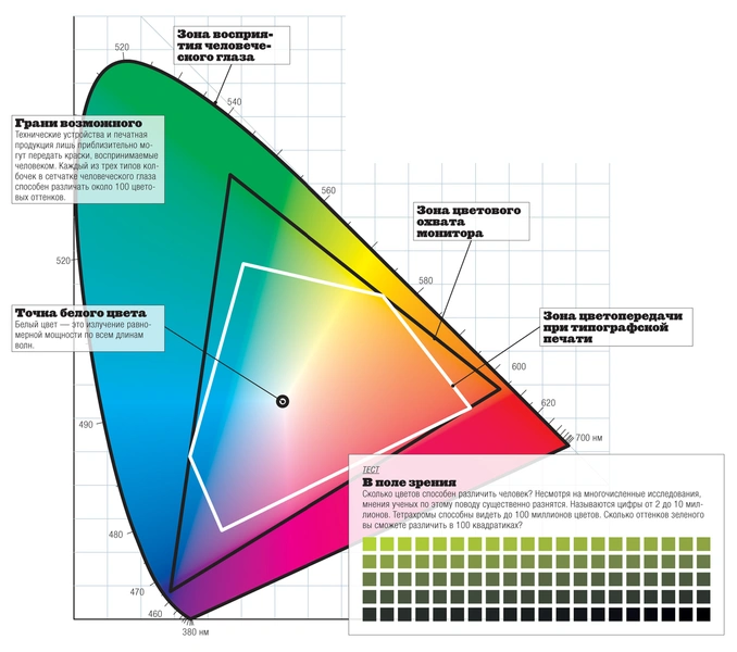 Цветная революция: как глаз человека различает цвета и кто преуспел в этом лучше других