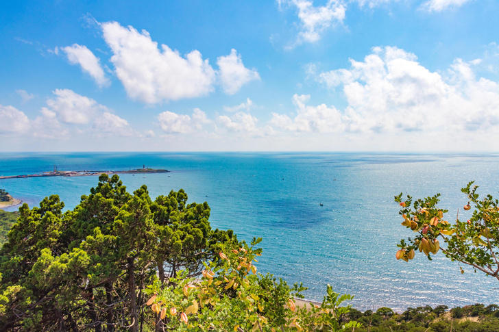 Курорты черноморского побережья: где отдохнуть летом 2023?
