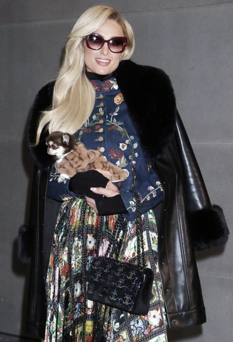 Даже собачка Пэрис Хилтон наряжается на светские мероприятия | marieclaire.ru