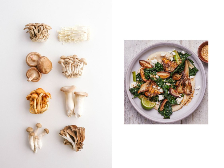 Суперфудические грибы — новый тренд в гастрономии, который вам стоит попробовать