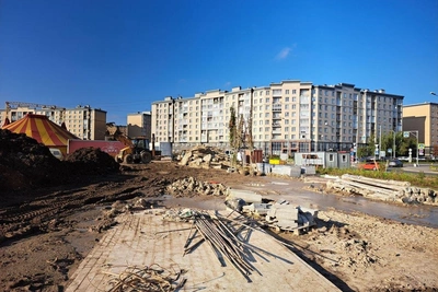 В «Большом круге» Славянки меняют неприжившиеся ели