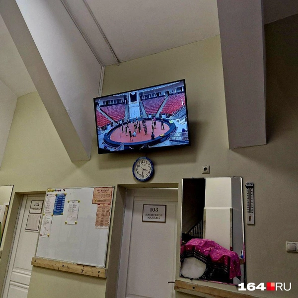 Онлайн для коллег | Источник: Виктория Федорова / 164.RU