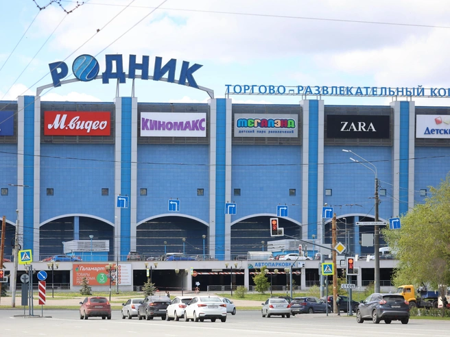 Победителем торгов стала компания из Санкт-Петербурга | Источник: Дарья Пона