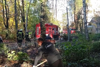 В Металлострое при пожаре погибла женщина