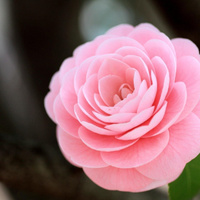 Аватарка Аnnna93