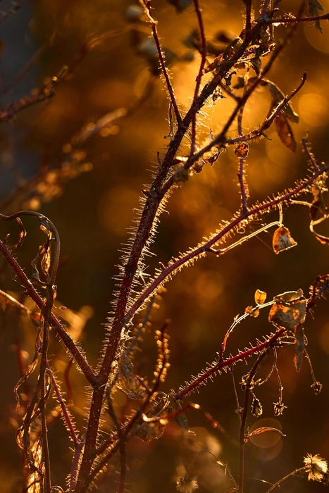 Источник: Сергей Коршилов / Vk.com