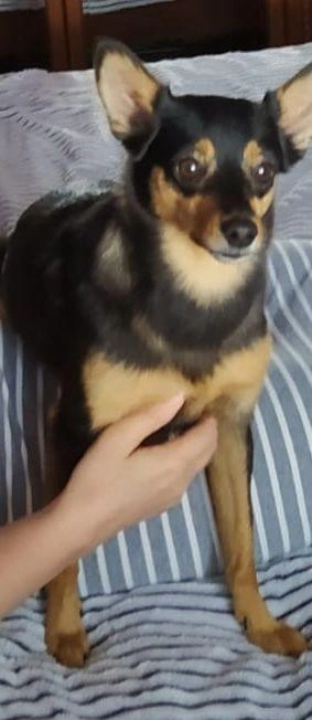 Любая информация будет крайне важна для поиска Куклы | Источник: www.city-n.ru