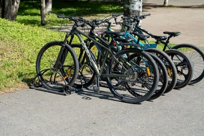 В парке Южно-Сахалинска ввели ограничения для собак и СИМ