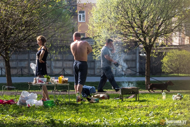 Ставить мангал во дворе у дома запрещено | Источник: Михаил Огнев / FONTANKA.RU