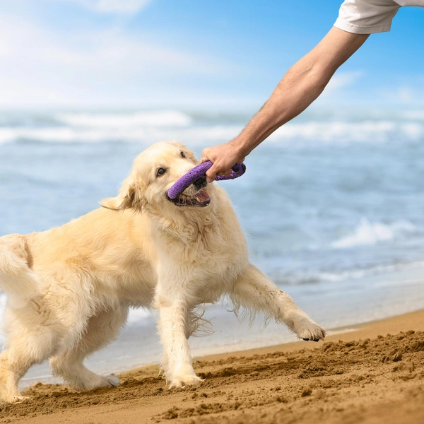 Источник: Shutterstock/Fotodom.ru