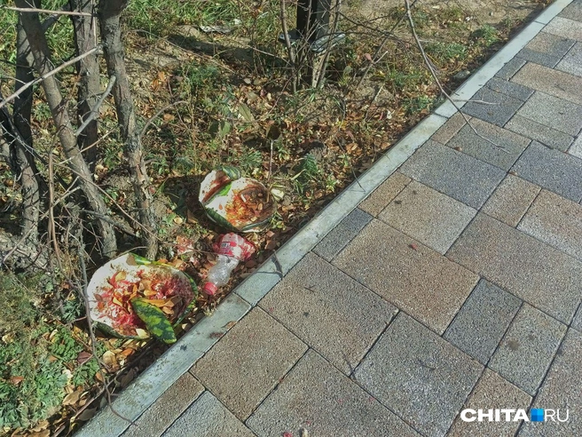 Сгнившие арбузы и мусор вдоль тротуаров | Источник: Любовь Никитина / CHITA.RU