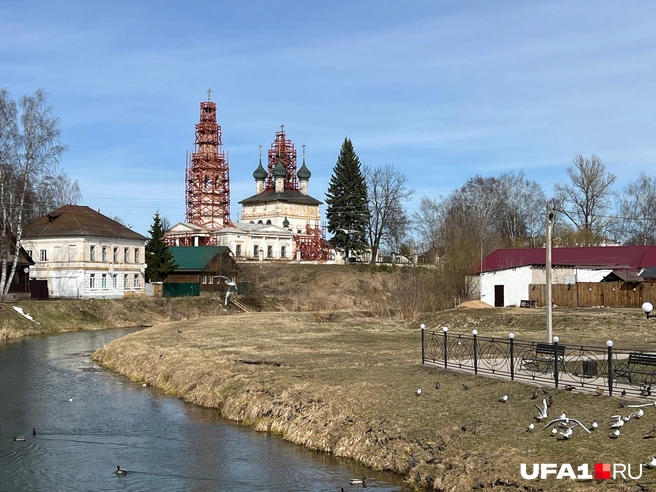 В этом городе много чаек