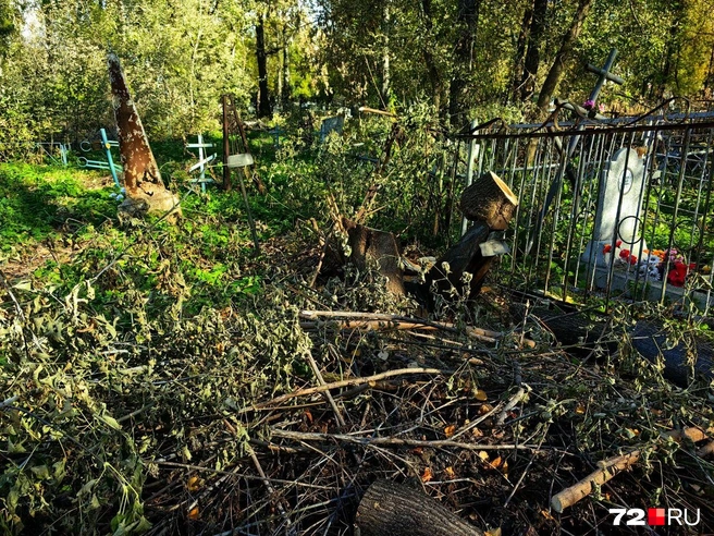 На первый взгляд может показаться, что кто-то нарочно устроил тут настоящий погром. На самом деле нет: всё под контролем | Источник: Павел Красоткин / 72.RU