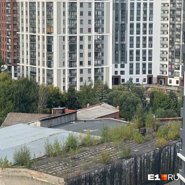 Практически сад на крыше дома!  | Источник: читатель E1.RU