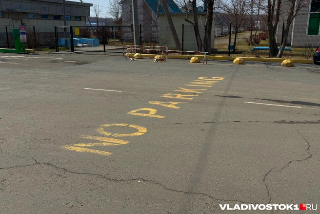 Некоторые авто заливают пищевыми отходами | Источник: Елена Буйвол / VLADIVOSTOK1.RU
