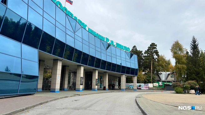 Источник: Анастасия Медведева / NGS.RU