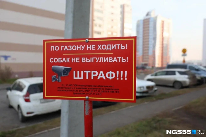 Жители сами стараются следить за чистотой | Источник: Евгений Софийчук / NGS55.RU
