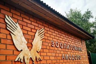 Полицейские исполнили мечты детей погибшего военнослужащего