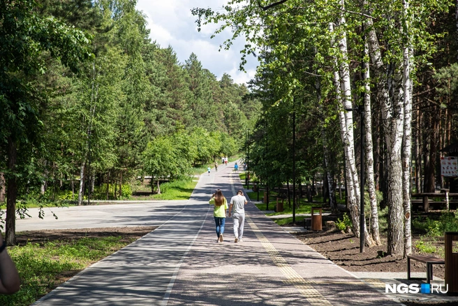 В парке полностью заменили коммуникации, водопровод и канализацию. Все кабели и провода перенесли под землю. По словам Локтя, задача осложнялась тем, что рабочим нельзя было повредить деревья | Источник: Александр Ощепков