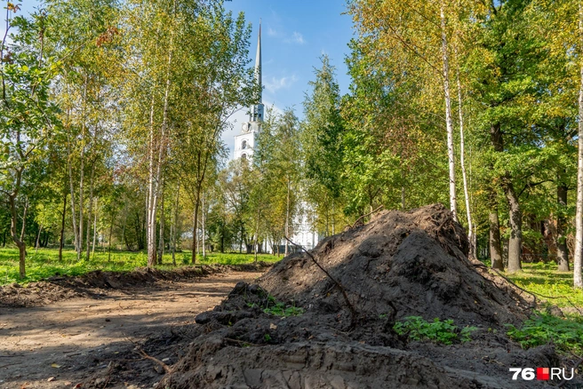 Летом 2025 года власти запустили торги по поиску подрядчика, который благоустроит парк  | Источник: Кирилл Поверинов / 76.RU