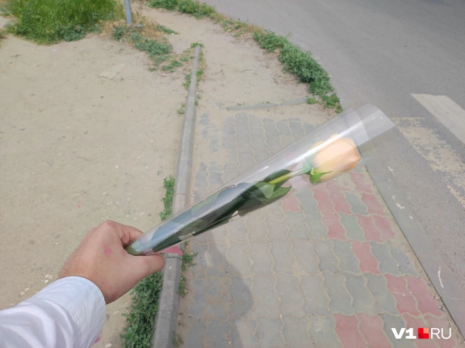 Последний звонок — отличный повод подарить цветы своему учителю, даже если вы уже давно выпускник | Источник: Денис Паустовский / V1.RU