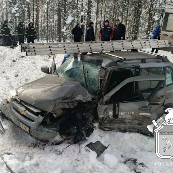 Источник: ГКУ «Ленинградская областная противопожарно-спасательная служба»