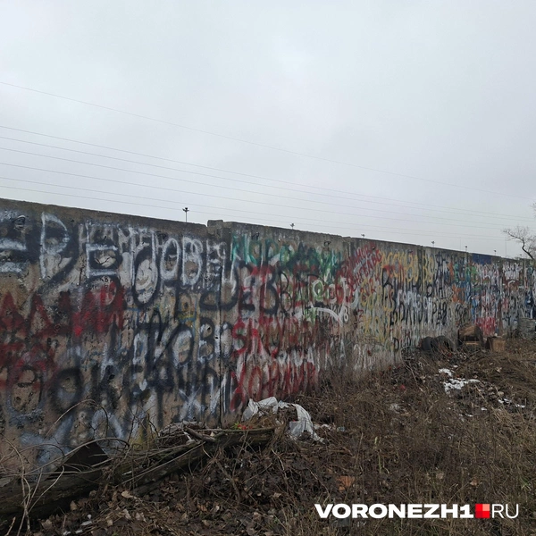 Источник: Алёна Воропаева / Voronezh1.ru
