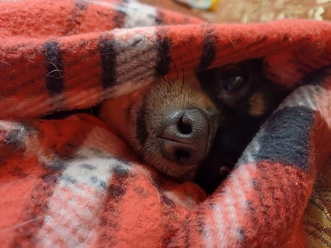 Источник: читатель НГС