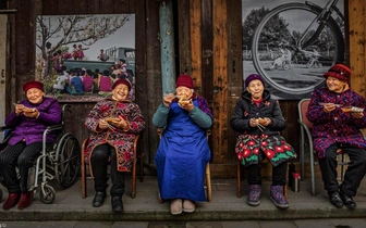 Кушать подано: взгляните на 20 лучших работ призеров и финалистов конкурса фотографий еды World Food Photography Awards 2025