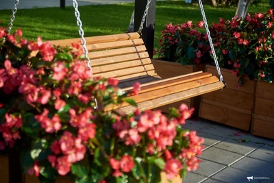 Объединение скверов Анохина и Геологов в Чите