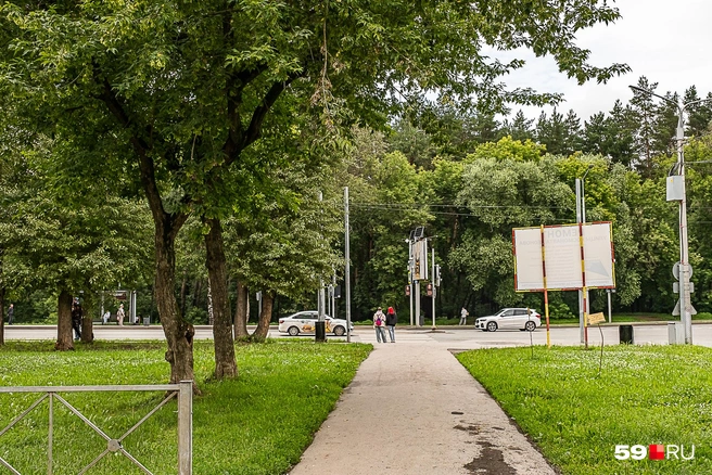 Улица начинается от границы с Черняевским лесом | Источник: Василина Любимова / 59.RU
