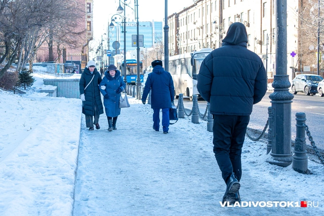 Источник: Елена Буйвол / VLADIVOSTOK1.RU