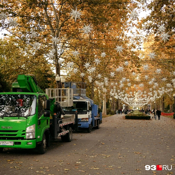 Источник: Дарья Паращенко / 93.RU