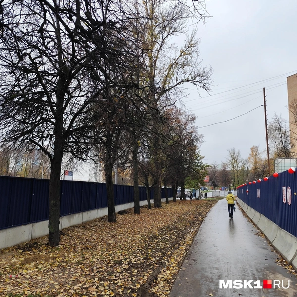 Источник: Игорь Мещанев / MSK1.RU