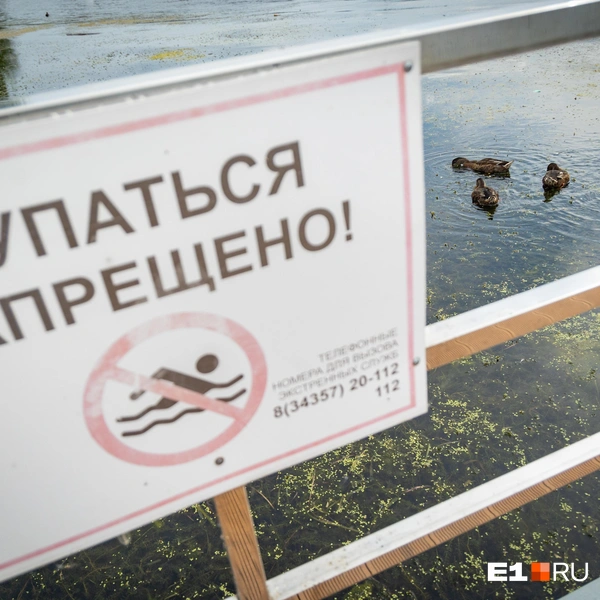 С пляжами в Верхнем Тагиле так же сложно, как и во всей Свердловской области | Источник: Владислав Лоншаков / E1.RU