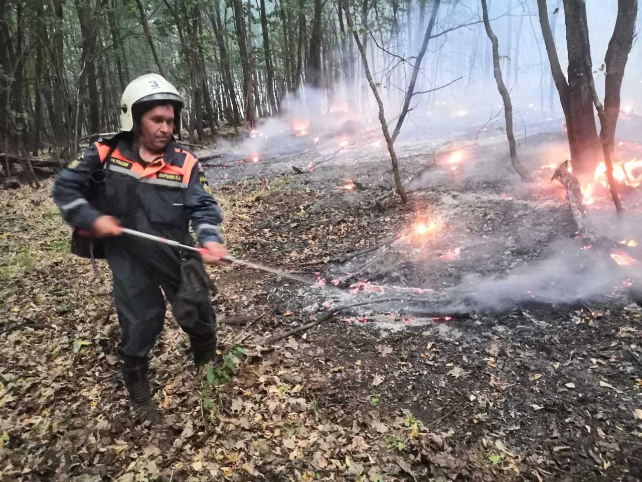 Из-за крупного лесного пожара в Борском районе объявлена чрезвычайная  ситуация - 22 августа 2021 - 63.ру